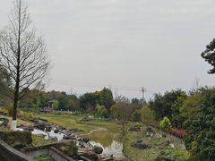 -铁山坪森林公园