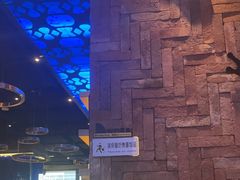 -bluefrog蓝蛙(皇庭广场店)
