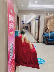 -碧莲盛·不剃发植发