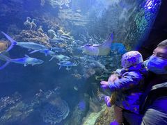 -华夏文旅海洋公园