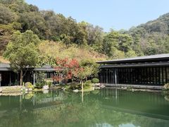 -云溪植物园