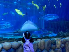 -华夏文旅海洋公园