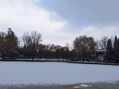 -团结湖公园