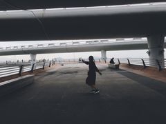 -演武大桥观景平台