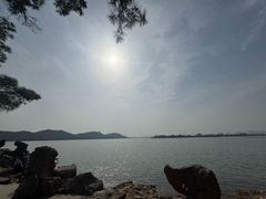 -东湖落雁景区