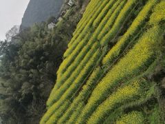 -石台牯牛降景区