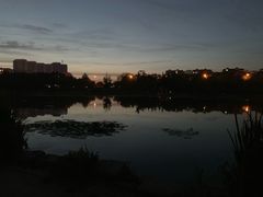 -前关湿地公园