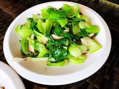 -宝荣鱼馆·临湖之宴(千岛湖店)