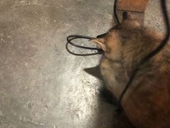 -时光转角咖啡馆(西康路店)