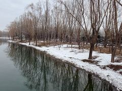 -东郊湿地公园