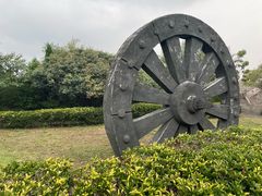 -原山国家森林公园