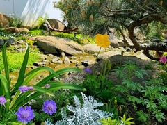 -罗红摄影艺术馆