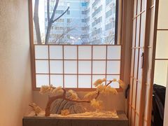 -松子料理(亮马桥店)