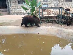 -昆明动物园