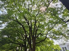 -西郊宾馆·1921餐厅