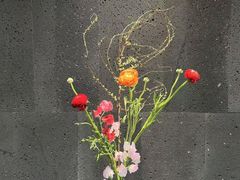 -帝京日语(春熙路旗舰校区)