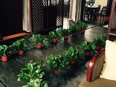 -梧桐餐厅(泉城路店)