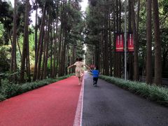 -上海长兴岛郊野公园