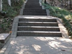 -伯先公园