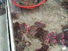 -恒达综合农贸市场(黄山路店)