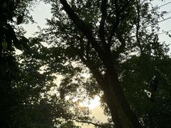 -紫金山山顶公园