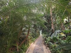 -郑州植物园