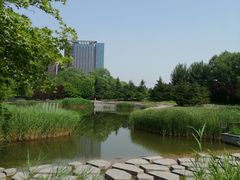 -大望京公园