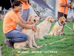 -趣玩宠物乐园寄养训犬训狗游泳池