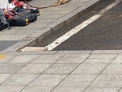 -金明玉小吃(康城路店)