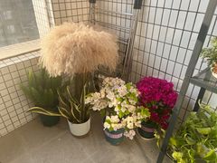 -遇见瑜伽WITH YOGA瑜伽普拉提生活馆