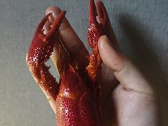 -聚味瞿记·龙虾堂(大塘总店)