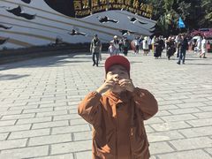 -西双版纳原始森林公园