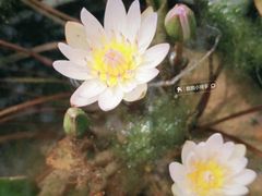 -云溪植物园