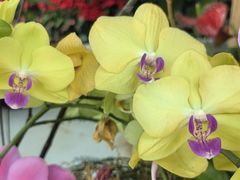 -石家庄市植物园