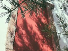 -清真喜兰老丁羊汤特色小吃