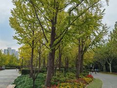 -黄兴公园