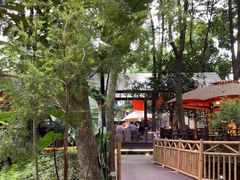 -二荆条·蜀鲜汇城市森林火锅