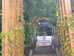 -宝莱纳啤酒花园餐厅PAULANER BRAUHAUS Nanjing(广州路店)