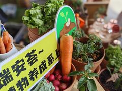 -瑞虹新天地月亮湾
