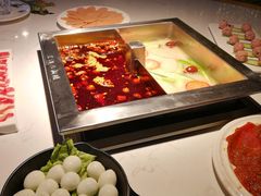 -二荆条·蜀鲜汇城市森林火锅
