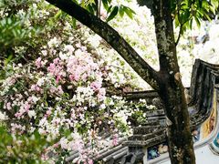 -深圳国际园林花卉博览园