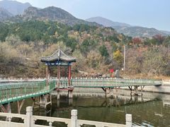 -阳台山自然风景区