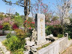 -雨花胜境