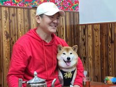 -哈尔滨东北铁锅炖(都督街店)