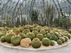-深圳仙湖植物园