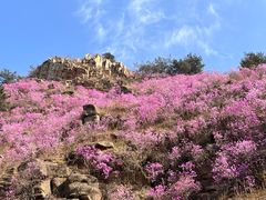 -青岛大珠山景区