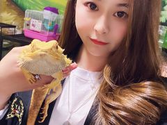 -藦茜花园宠物主题亲子互动体验馆(国顺东路店)