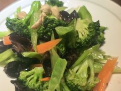 -纯肴大东北(新城北街店)