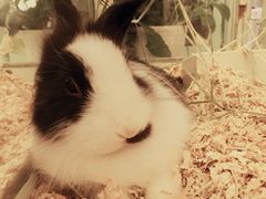 -龙猫仔乐园(惠福东路店)