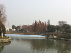 -尚贤河湿地